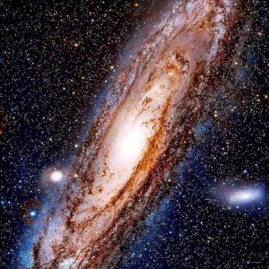 Meet your Posher, Fin